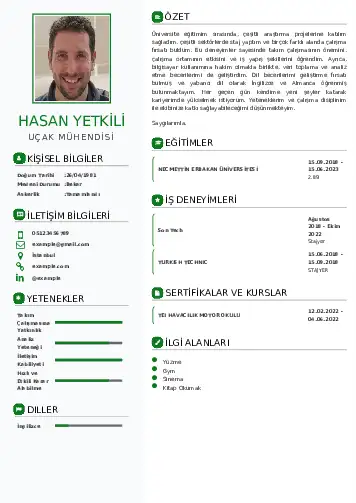 cv indir